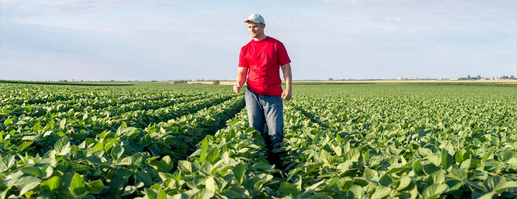 5 Reasons Why Millennial Farmers Are on the Rise | Farm Bureau ...