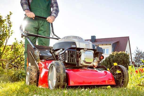 Grass rake for discount ride on mower